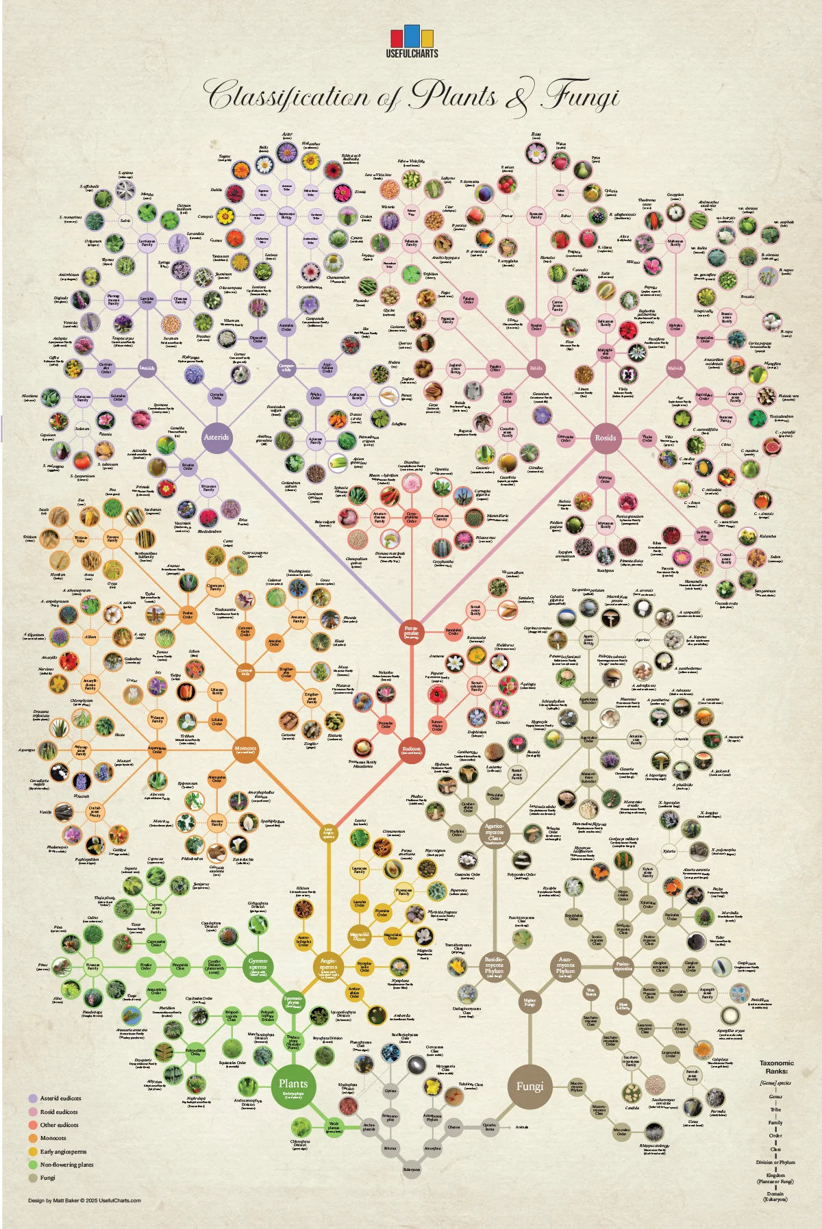 Science & Language